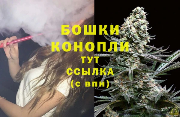 прущие грибы Очёр