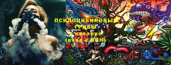 PSILOCYBIN Баксан